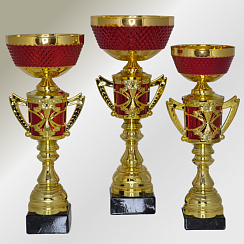 КУБКИ PRZ 20-71-72-73-24